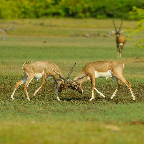 Photo #8998335