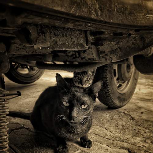 Photo #8998444