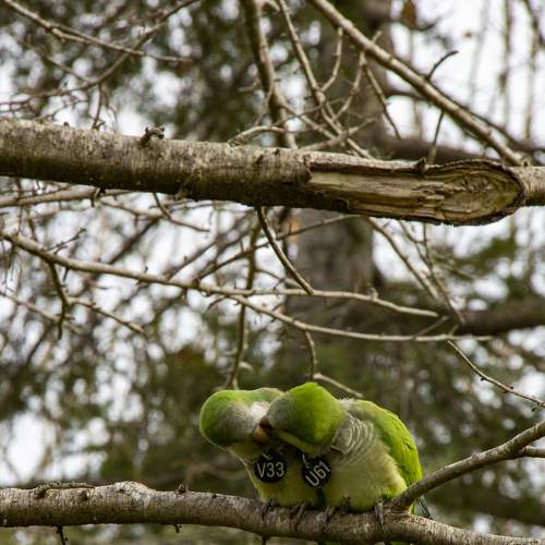 Photo #8998456