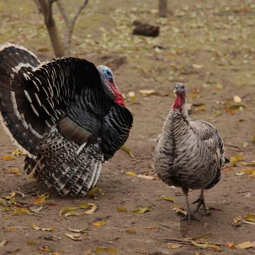 Photo #8998468