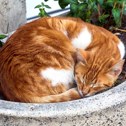 Photo #8998514