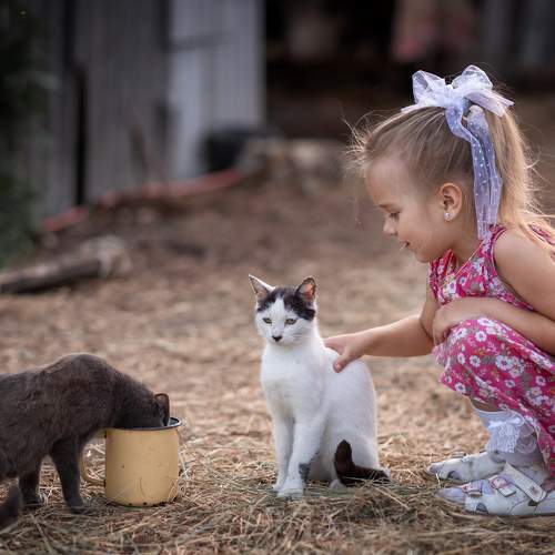 Photo #8998569