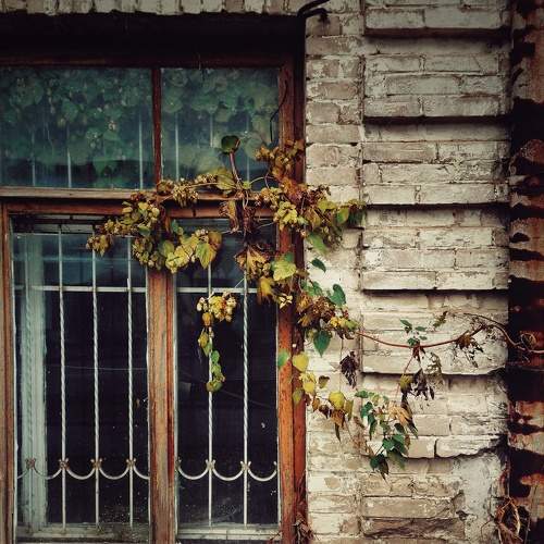 Photo #8998581
