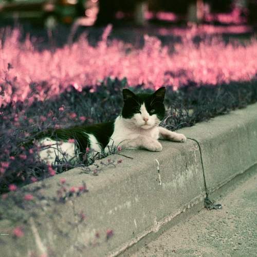 Photo #8998700