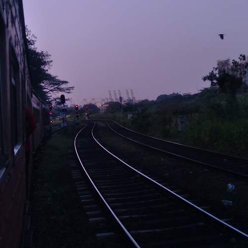 Photo #8999065