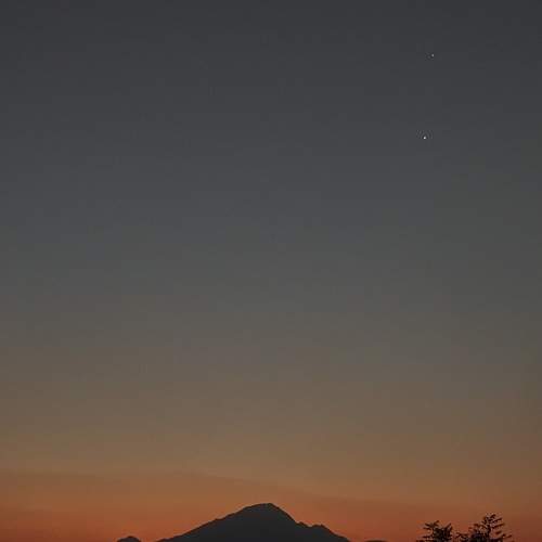Photo #8999135
