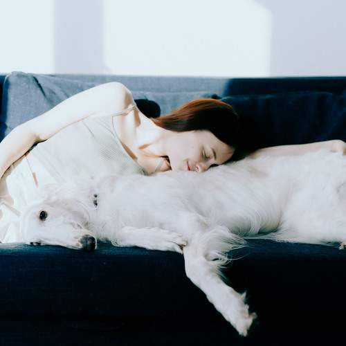 Photo #8999176