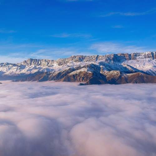 Photo #8999182
