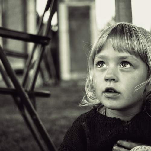 Photo #8999263