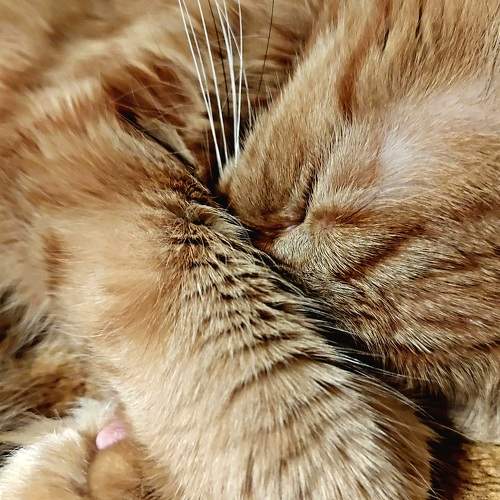 Photo #8999400