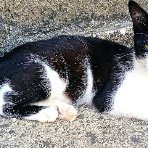 Photo #8999552