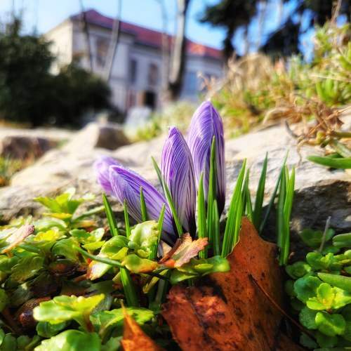 Photo #8999744