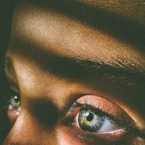 Photo #8999861