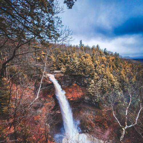 Photo #8999862