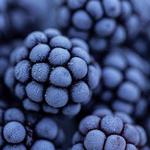 Фотография #8999984