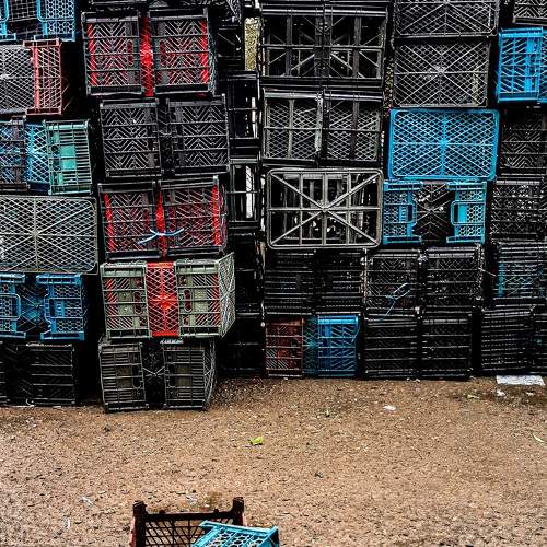 Photo #9000495