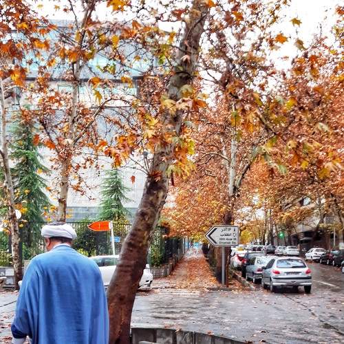 Photo #9000504