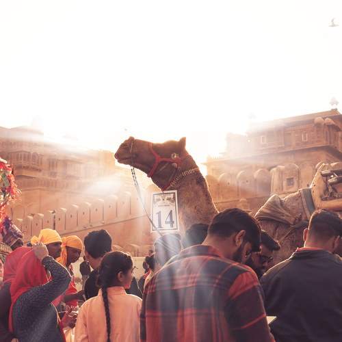 Photo #9000545