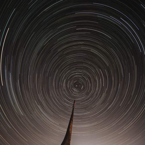 Photo #9000615