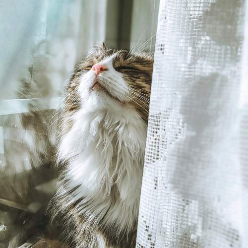 Spring has come!
