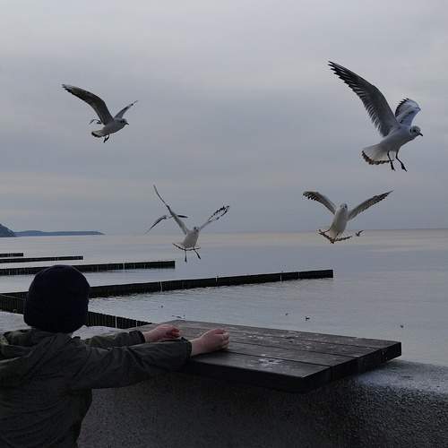 Photo #9000929