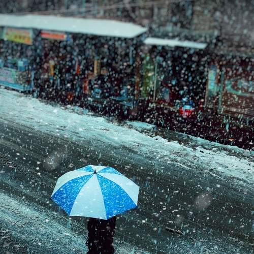 Photo #9001012