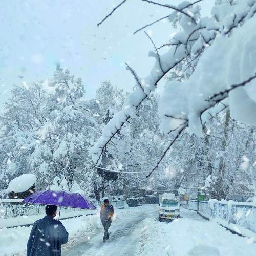 Photo #9001021