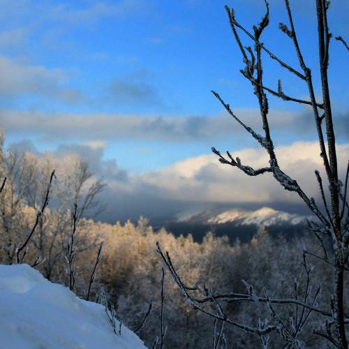 Photo #9001127