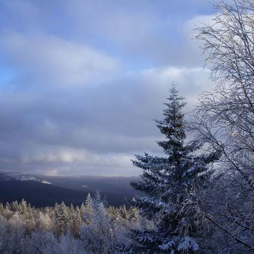 Photo #9001131
