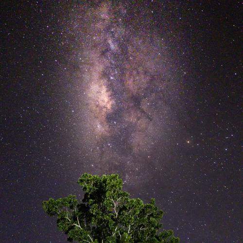 Photo #9001675