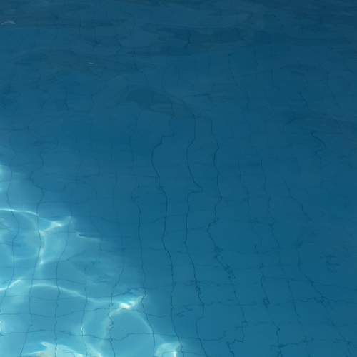 Photo #9001698