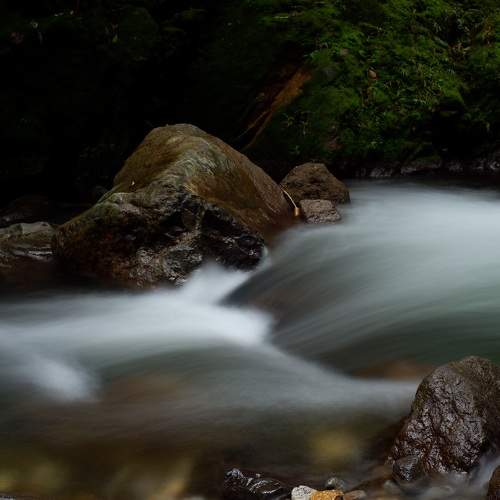 Photo #9001798