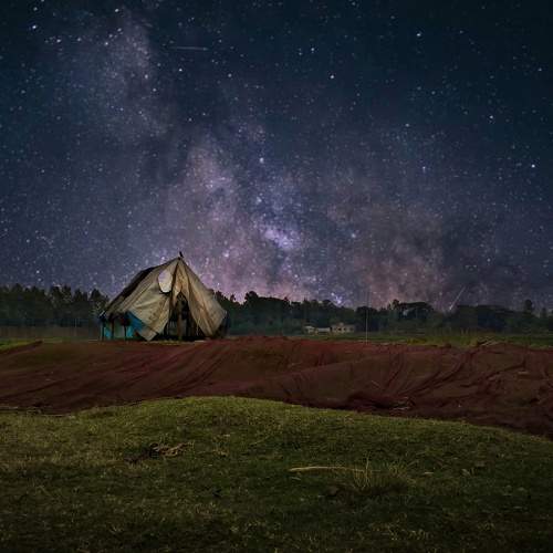 Photo #9001898