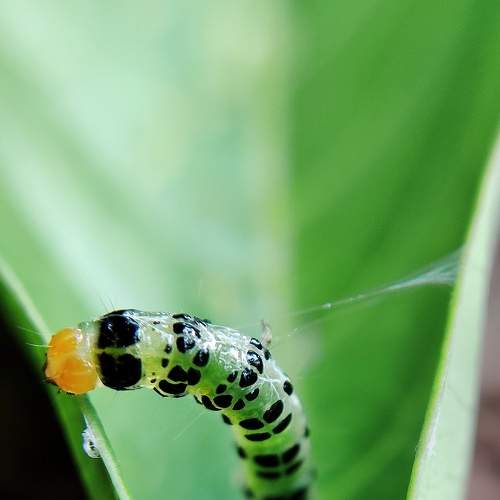 Photo #9001992