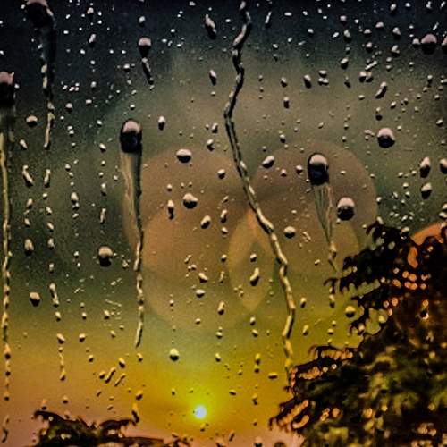Photo #9002332