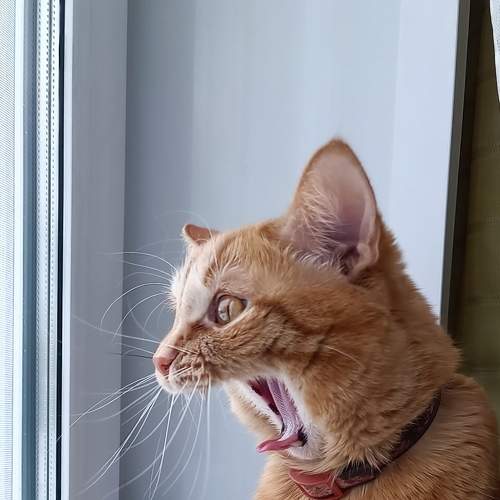 Photo #9002483