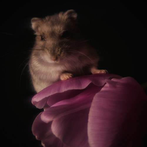 Photo #9002630