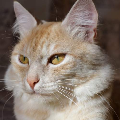 Photo #9002764