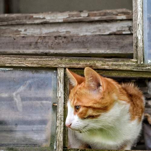 Photo #9003346