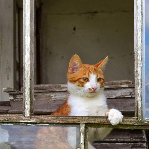 Photo #9003354