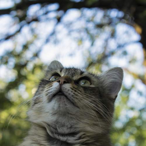 Photo #9003478