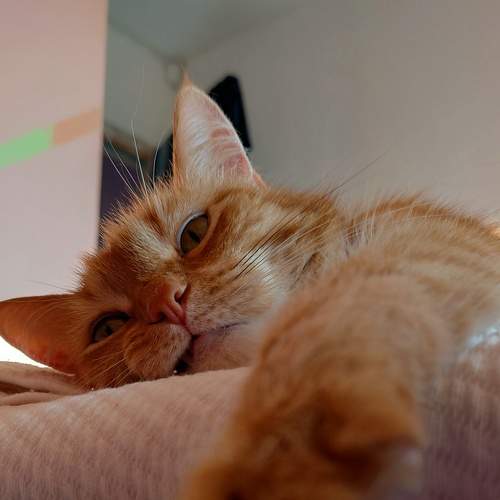 Photo #9003757