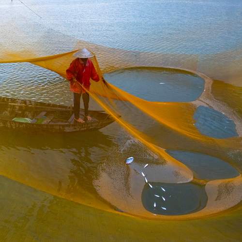 Photo #9003837