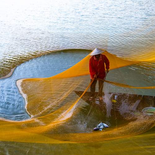 Photo #9003844