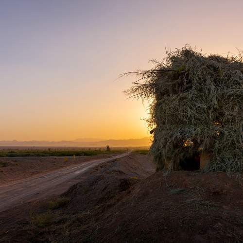 Photo #9004198
