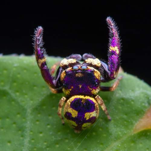 Pretty jumper