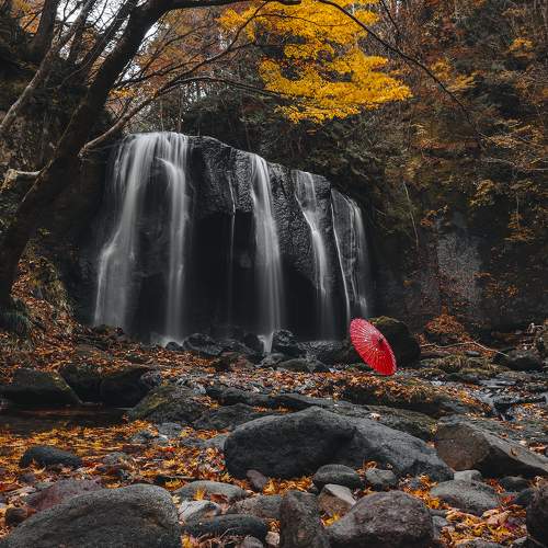 Photo #9004531