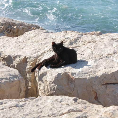 Photo #9004647