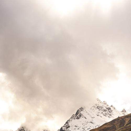 Photo #9004662