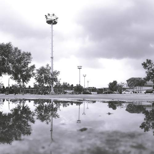 Photo #9004812